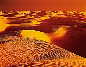 顽皮狗总裁：我们不会变成只开发《最后的生还者》的工作室 多个项目制作中